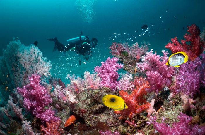 Indonesia scuba diving locations top