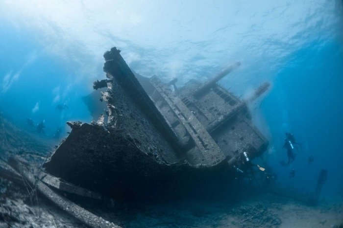 Cozumel reefs snorkeling clearest calmest beneath exciting thriving imaginable sights undersea